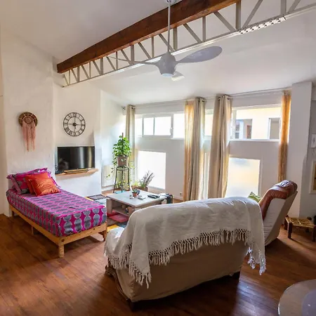 Apartment Loft Victor Hugo